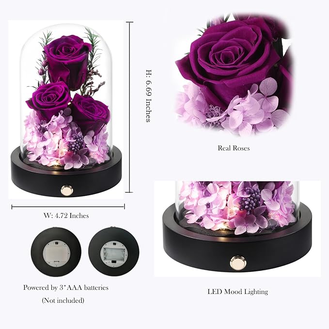 Flowers Gifts for Women, Preserved Roses in Glass Dome, Forever Flowers for Delivery Mothers Day Birthday Gifts for Mom Her Wife Girlfriend on Valentines Day Anniversary Purple
