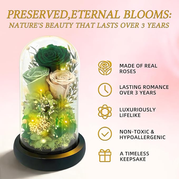 HipTree Preserved Morandi Green Rose in Glass Dome with LED Lights - Forever Eternal Rose Gifts for Women, Valentines Day Mothers Day Birthday Christmas Wedding Anniversary for Mom Wife Girlfriend