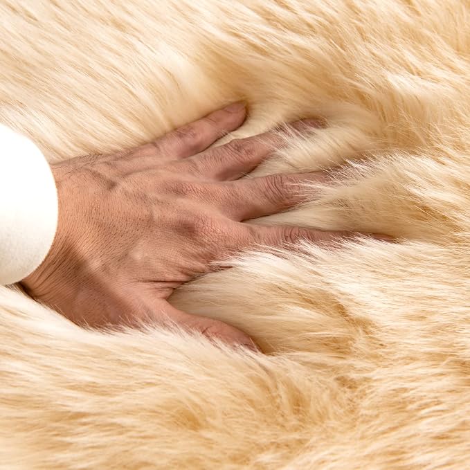 MIULEE Luxury Super Soft Fluffy Area Rug Faux Fur Cloud Shape Rug Decorative Plush Shaggy Carpet for Bedside Sofa Floor 2 x 3 Feet, Light Yellow