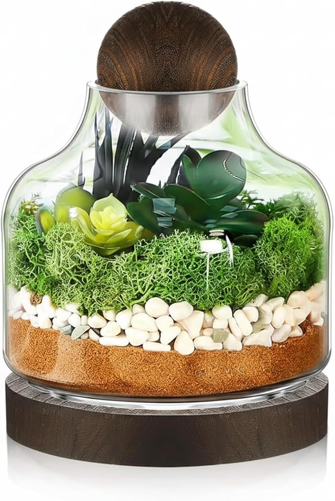 1 Pcs Glass Terrarium Container with Wooden Base and Decorative Ball Lid, 7 Inch DIY Terrarium Jar for Moss, Ferns, Air Plants and Succulents, Mini Indoor Garden Vase for Home Office Desk Decor