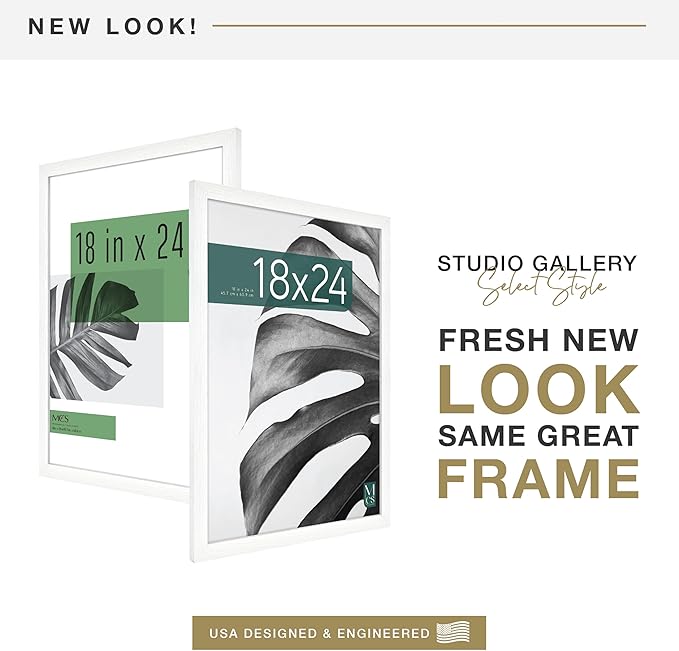 MCS Studio Gallery 18x24 Poster Frame White Woodgrain Engineered Wood, Vertical & Horizontal Wall Hanging Large Picture Frame for Photos, Posters & Art Prints (2-Pack)