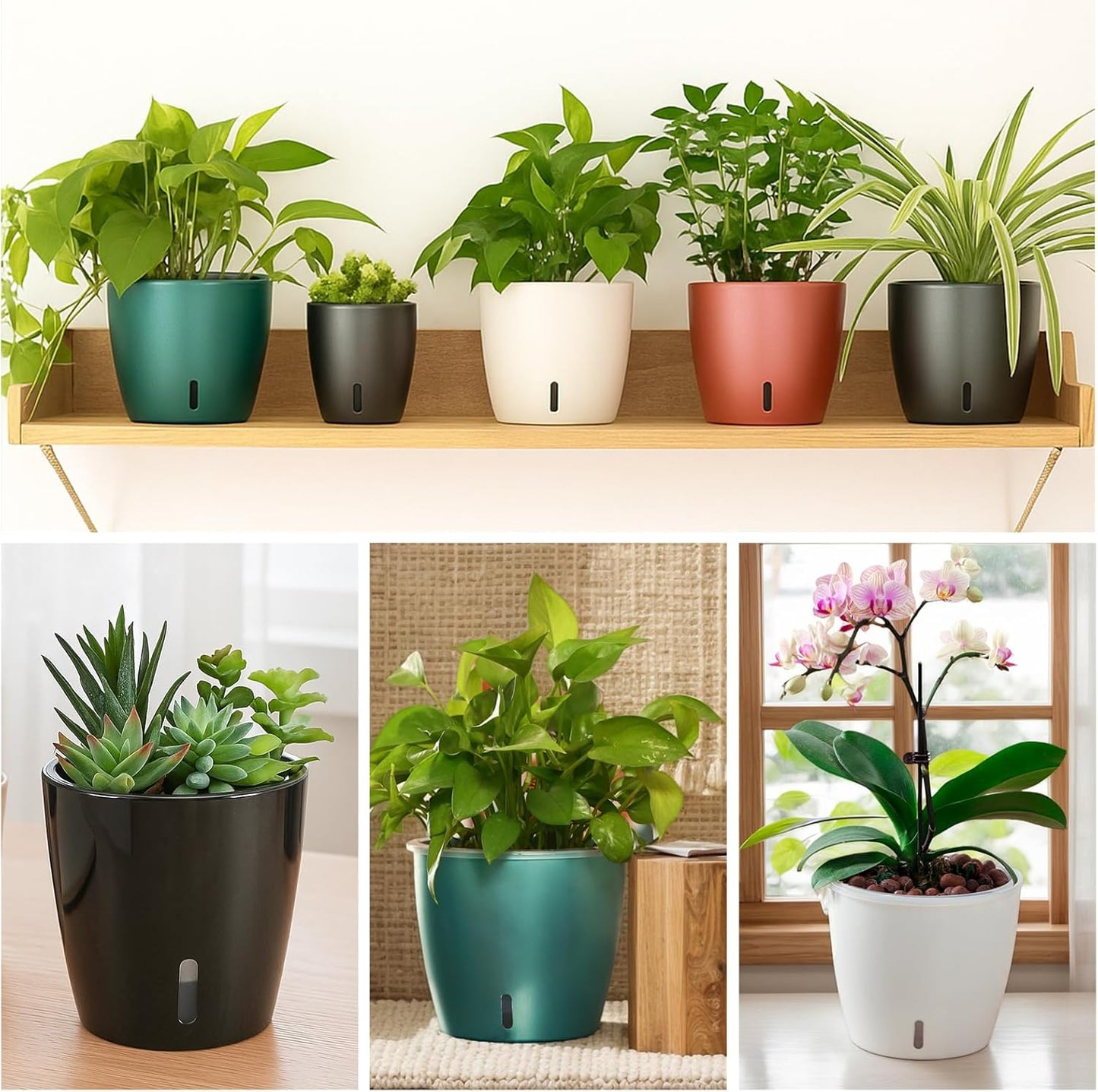 Self-Watering Pots for Indoor Plants, 12-Pack 5'' Self Watering Planter with Drainage Holes, Small African Violet Pots with Water Indicator, Clear Wick Pot, White