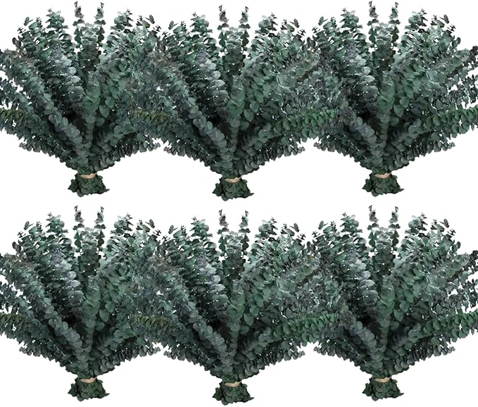 120 Pcs Preserved Eucalyptus for Shower, Dried Flowers Eucalyptus Stems 17" | Fresh preserved eucalyptus branches for shower, weddings, bathroom décor, vase filler and DIY arrangements.