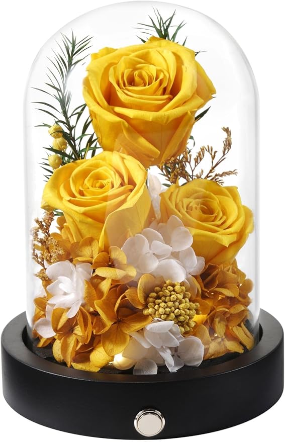 Preserved Flowers in Glass Dome with LED, Forever Yellow Roses for Delivery, Valentines Day Anniversary Birthday Mothers Day Flower Gifts for Mom Her Women Wife Mother