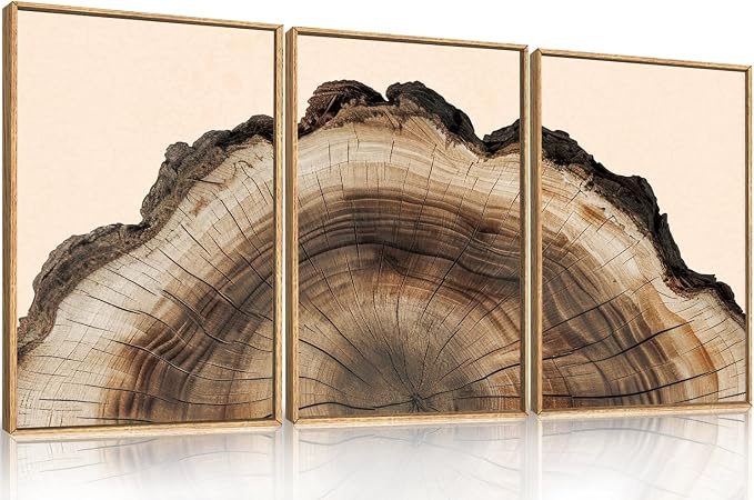 KAIRNE Vintage Tree Rings Framed Canvas Wall Art Set, Retro Wood Stump Wall Decor, Neutral Tree Spiral Art Prints, Modern Annual Ring Artwork for Living Room, Bedroom, Farmhouse, Office-24 x36 x3