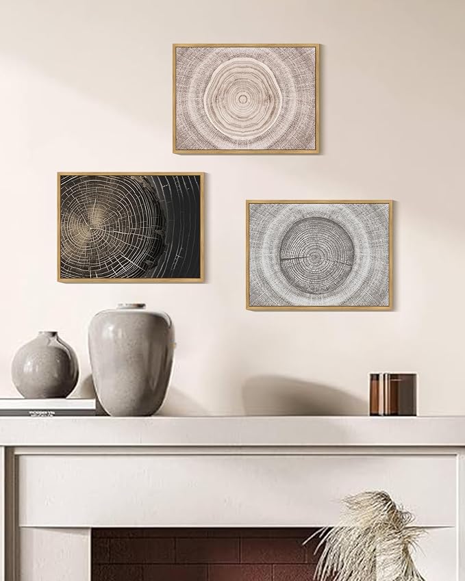 PHOPAGO Vintage Wood Tree Rings Wall Art Farmhouse Rustic Framed Canvas Paintings Living Room Bedroom Decor Nature Artwork 11x14in Natural Framed