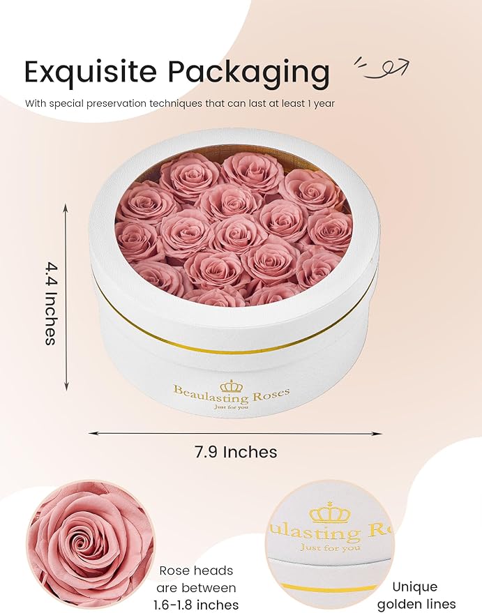 16 Preserved Roses Forever Flowers Real Roses in a Box Mother's Day Birthday Flowers for Her Mom Women Wife Valentine's Day, Dusty Pink Roses