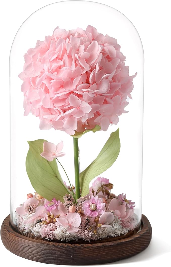 Forever Hydrangeas in Glass Dome,Forever Preserved Flowers Gifts Mothers Day Birthday for Grandma Women Mom Wife,Fresh Flowers for Delivery/Pink Hydrangea