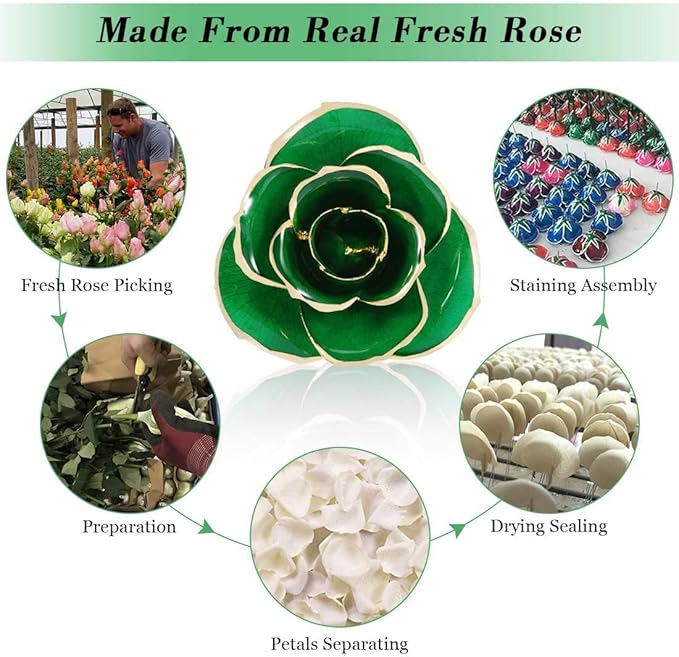 Gold Plate Rose, 24k Gold Dipped Preserved Long Stem Rose Flower for Her Women Wife Mother Girlfriend, Green Rose with Stand