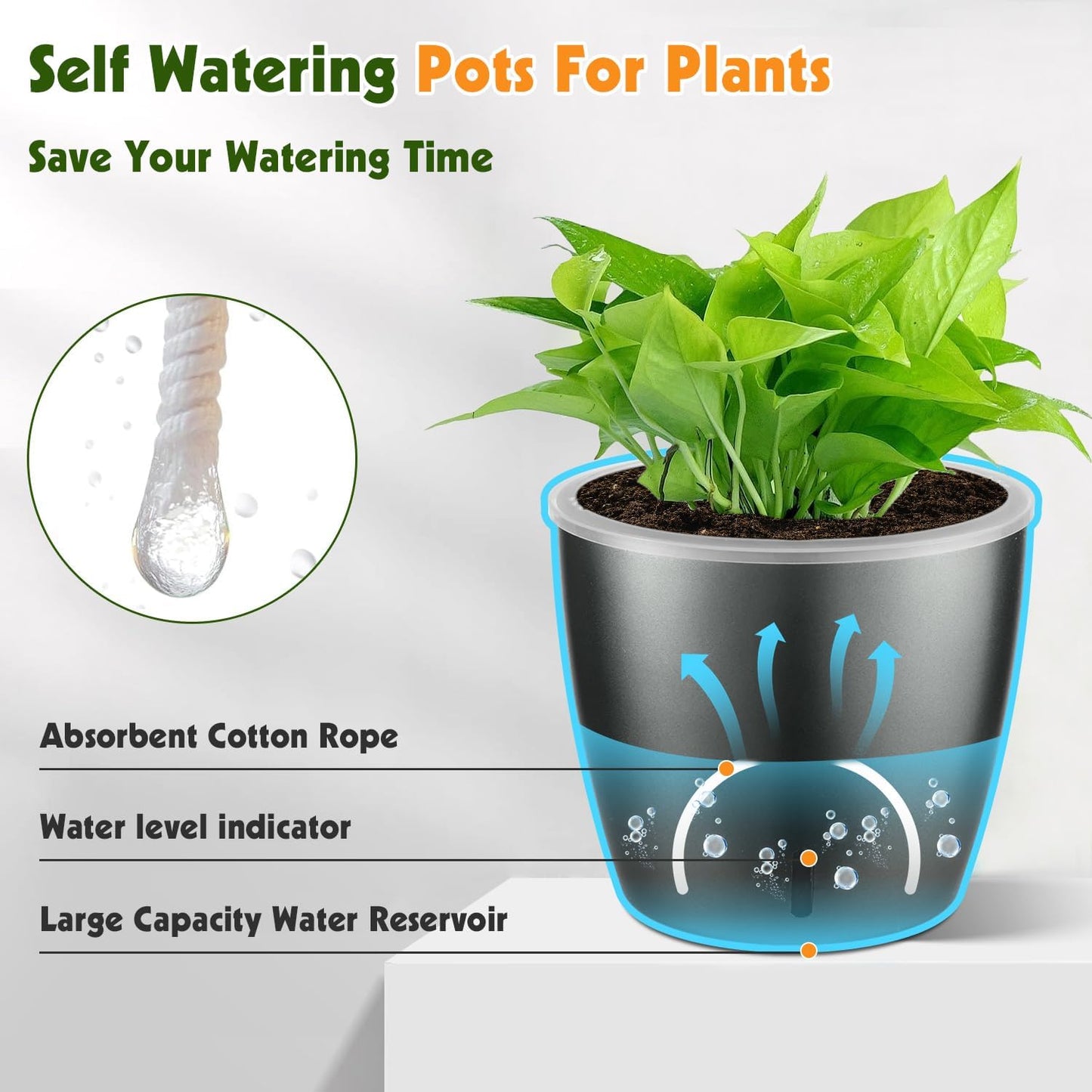 Self Watering Pots for Indoor Plants, 6-Pack 6.7'' Self Watering Planter with Drainage Holes, Small African Violet Pots with Water Indicator, Clear Wick Orchid Pot, Grey