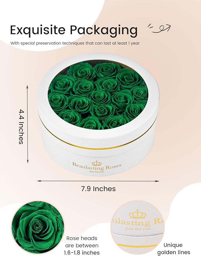 16 Preserved Roses Forever Flowers Real Roses in a Box Mother's Day Birthday Flowers for Her Mom Women Wife Valentine's Day, Green Roses