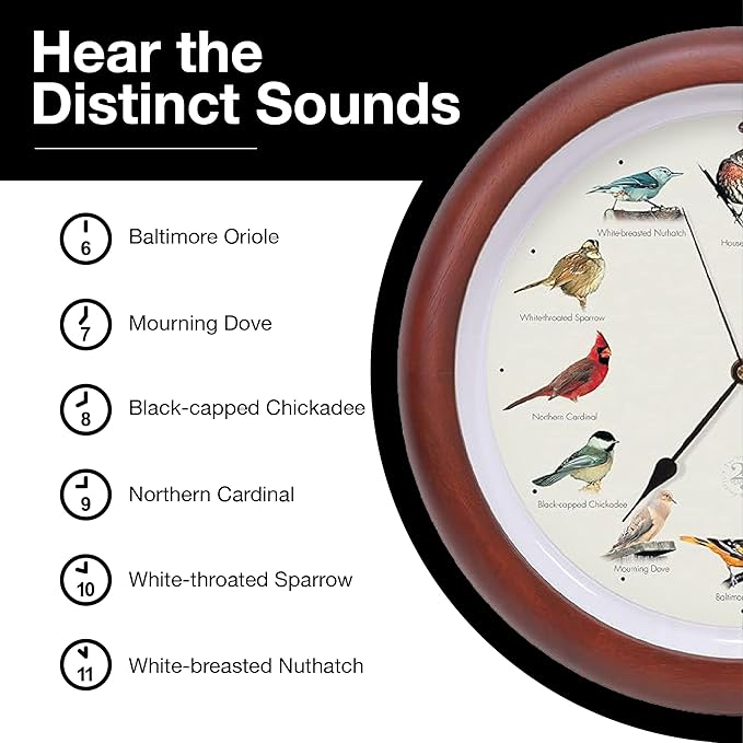 Mark Feldstein, The Original Singing Bird Clock, 25th Anniversary Edition, 13 Inch, Premium Cherry