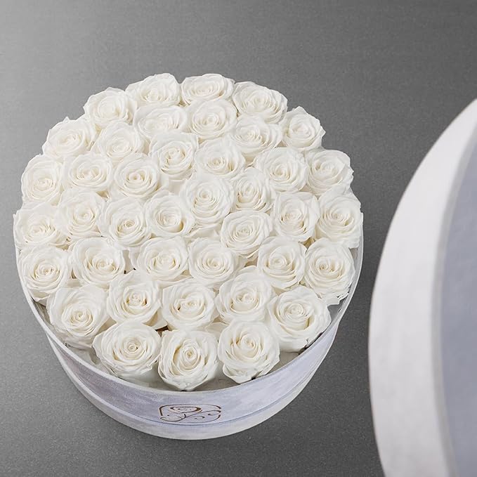 Gifts for Women Preserved Roses Flower Box, Luxury Velvet Box with 40 Roses, Preserved Flowers, Romantic Gift for Her, Wife, Girlfriend, Birthday Anniversary Christmas (White)