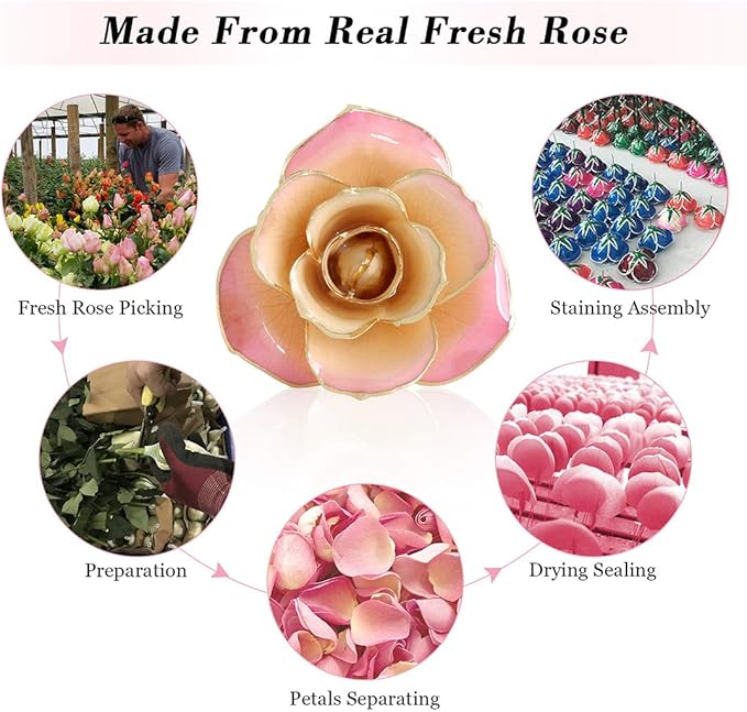Ejoyous 24K Gold Rose, Forever Preserved Real Rose Lover Mom Wife Daughter Girl Friend, Unique Present on Mother's Day, Wedding Anniversary, Birthday, Proposal, Reward (White