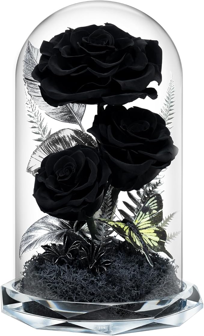 Forever Flowers in Glass Dome - Preserved Roses, for Her Women Valentine's Day, Mother's Day, Anniversary A-Grade Black Roses, Home Decor for Girlfriend, Wife, Sister, Mom (Black)