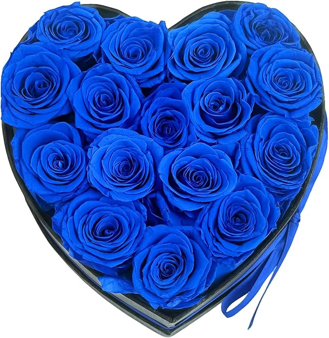 Preserved Roses Heart Shape Box Valentines Day Gifts for Her Mothers Day Forever Flowers (Blue, 16 Roses)