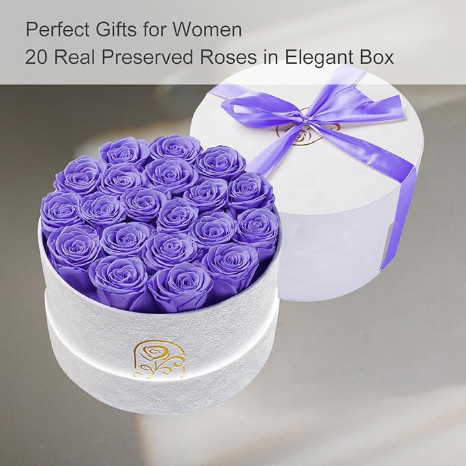 Gifts for Women Preserved Roses Flower Box, Luxury Velvet Box with 20 Roses, Preserved Flowers, Romantic Gift for Her, Wife, Girlfriend, Birthday Anniversary Christmas (Light Purple)