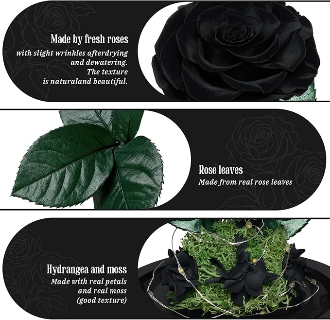 3 Preserved Flowers Roses in Glass Dome for Beauty and The Beast Decor Real Rosas Eternas for Women Mom Birthday,Forever Black Roses for Delivery, Christmas for Wife Girlfriend Her