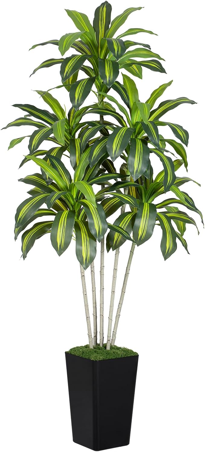 Dracaena Plant Artificial Tree 6Ft Tall Fake Tropical Floor Plants Potted (Real Touch) Artificial Silk Tree Leaf Faux Trees Black Tall Planter for Home Office Living Room Indoor Outdoor Decor