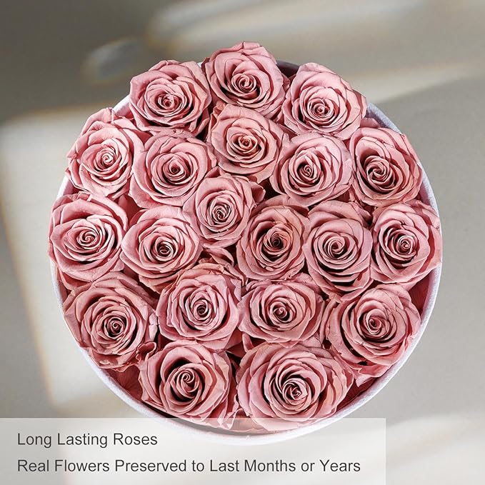 Gifts for Women Preserved Roses Flower Box, Luxury Velvet Box with 20 Roses, Preserved Flowers, Romantic Gift for Her, Wife, Girlfriend, Birthday Anniversary Christmas (Dusty Pink)