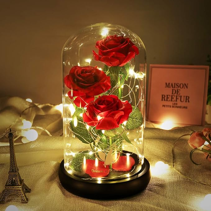 Beauty and The Beast Rose Valentines Day Gifts for Her, Birthday Gifts for Women, Light Up Roses, Glass Dome Rose with LED Lights, Red Roses, Valentines Mother Women's Gift for Mom Wife Girlfriend