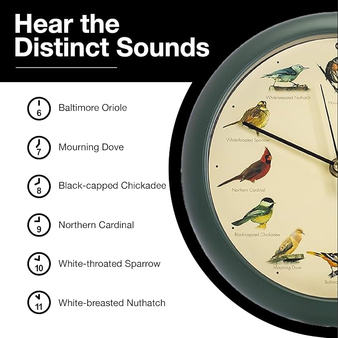 Mark Feldstein, The Original Singing Bird Clock, 8 Inch, Green