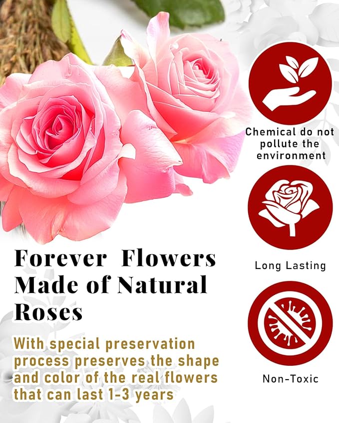 Changshunqi 16 Flowers Preserved Roses Gifts for Women, Pink Forever Flowers Womens Birthday Gifts for Women Wife Friends Preserved Flower Rose Gift for Mom Her Wife gf
