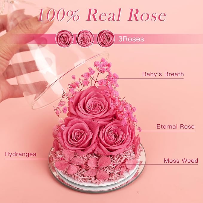 Flowers for Delivery Birthday Gifts for Women Gifts for Mom Grandma Mothers Day Fresh Preserved Flowers Forever Real Roses in Glass Angel Figurines Anniversary Present for Wife Her Friends Daughter