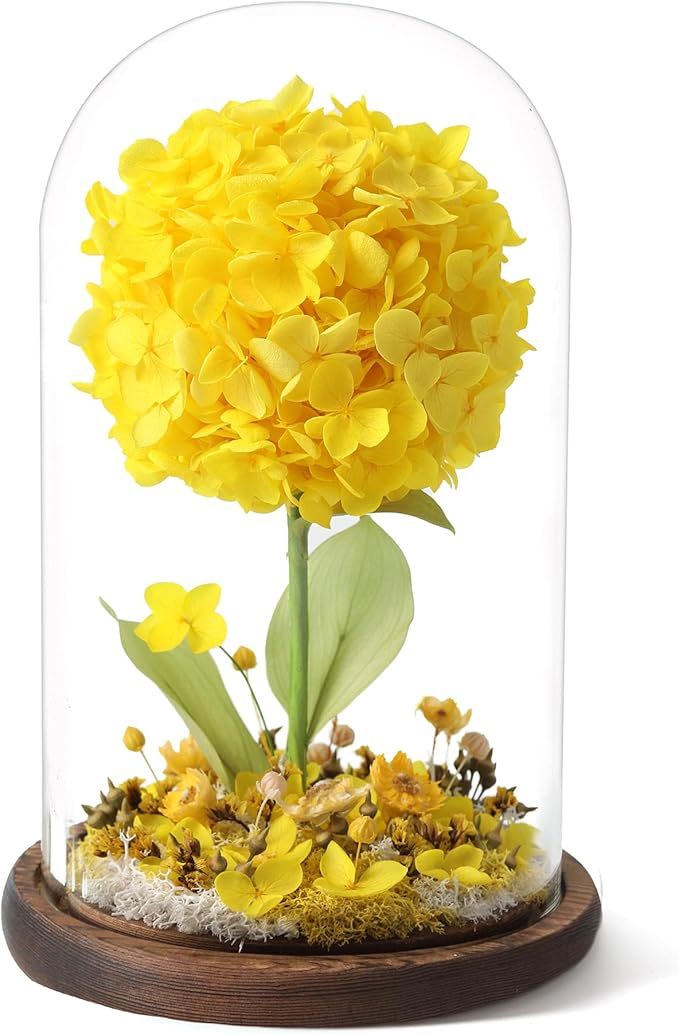 Forever Hydrangeas in Glass Dome,Forever Preserved Flowers Gifts Mothers Day Birthday for Grandma Women Mom Wife,Fresh Flowers for Delivery/Yellow Hydrangea