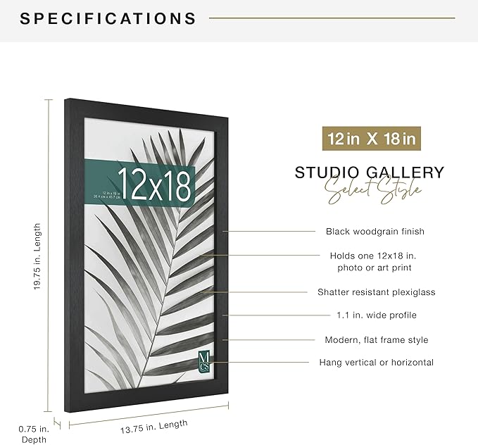 MCS Studio Gallery 12x18 Picture Frame Black Woodgrain Engineered Wood, Rectangle Photo Frame for Photos, Posters & Art Prints (1-Pack)