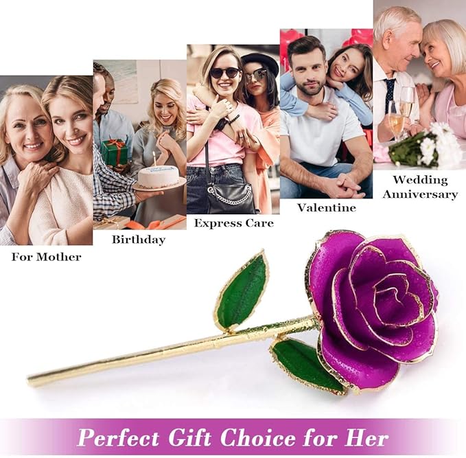 Ejoyous Gold Dipped Rose with Stand, Long Stem Forever Preserved Rose Flower Her and Wife Mother Girlfriend on Valentine's Day Birthday Christmas Day Anniversary Mother Day