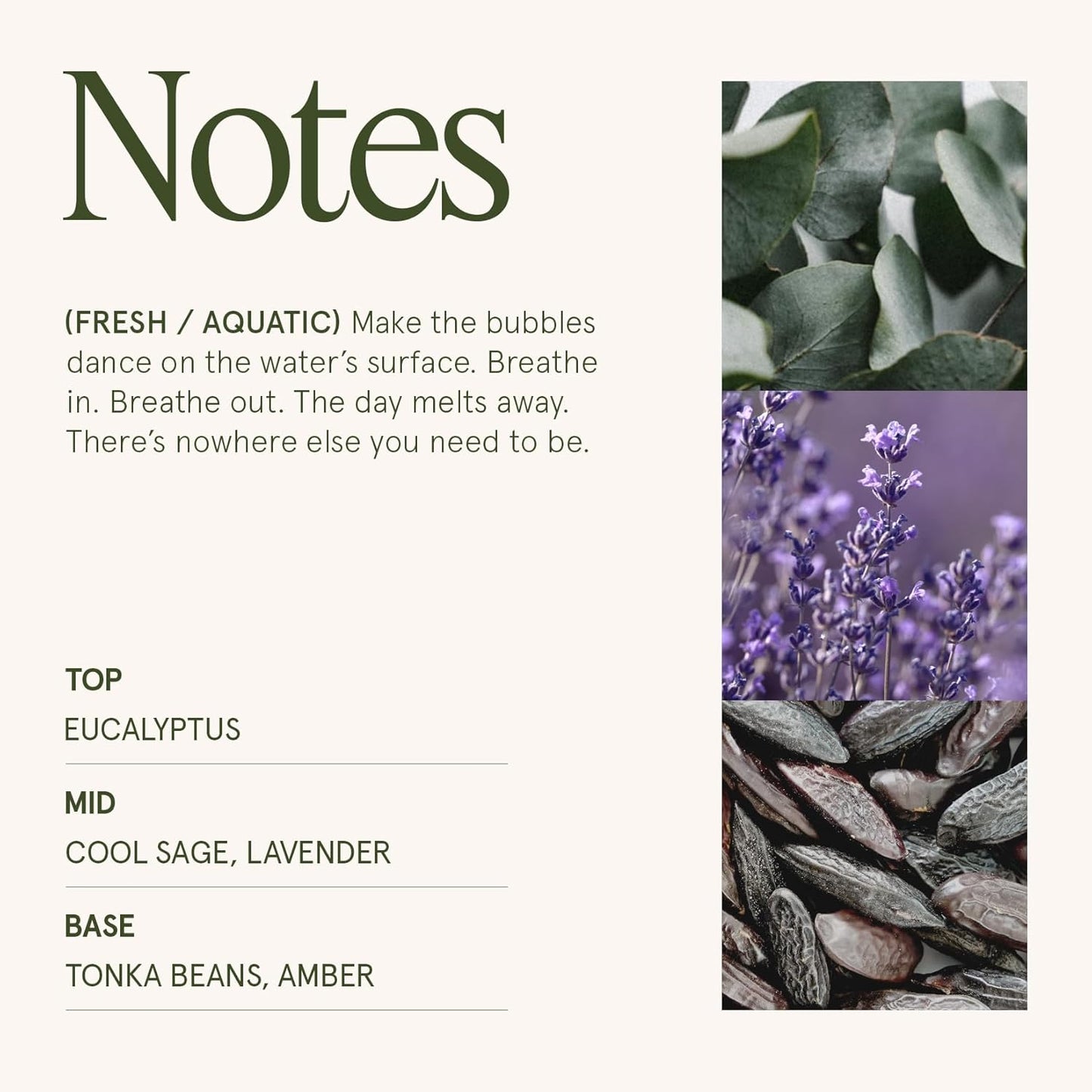 LA JOLIE MUSE Eucalyptus & Alpine Sage Candle – Eucalyptus, Sage & Lavender | 19 oz Wooden Wick | Natural Soy Wax | 90 Hours Burn | Candle for Relaxation