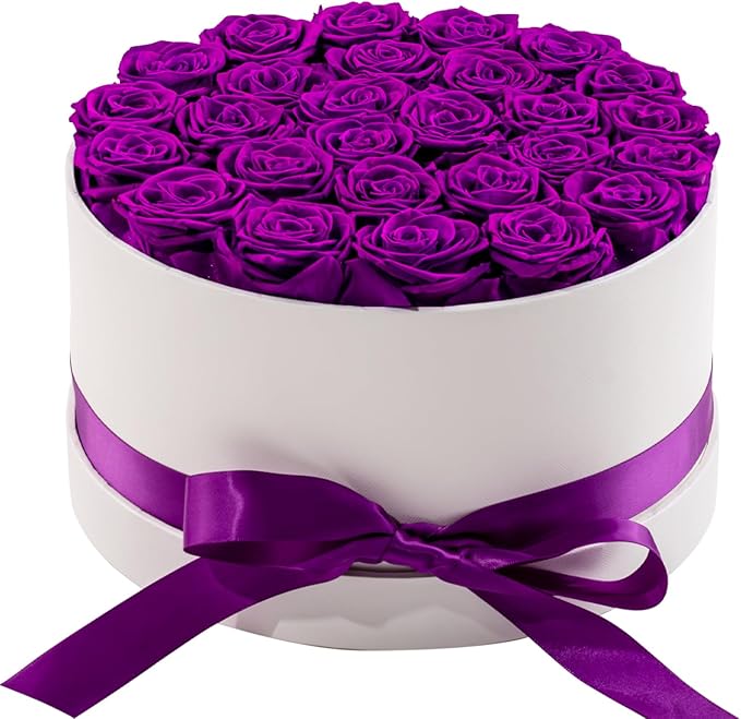 27 Piece Preserved Roses in a Box - Forever Flowers for Delivery Prime, Eternal Roses Mothers Gifts for Mom, Valentine's Day, Wife Anniversary Birthday Gifts for Women(Purple)