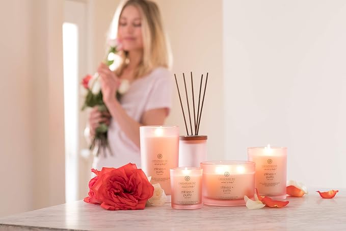 Chesapeake Bay Candle PT40896 Scented Candle Stillness + Purity (Rose Water) Coffee TableOrange Home Décor 11oz (Pack of 4)