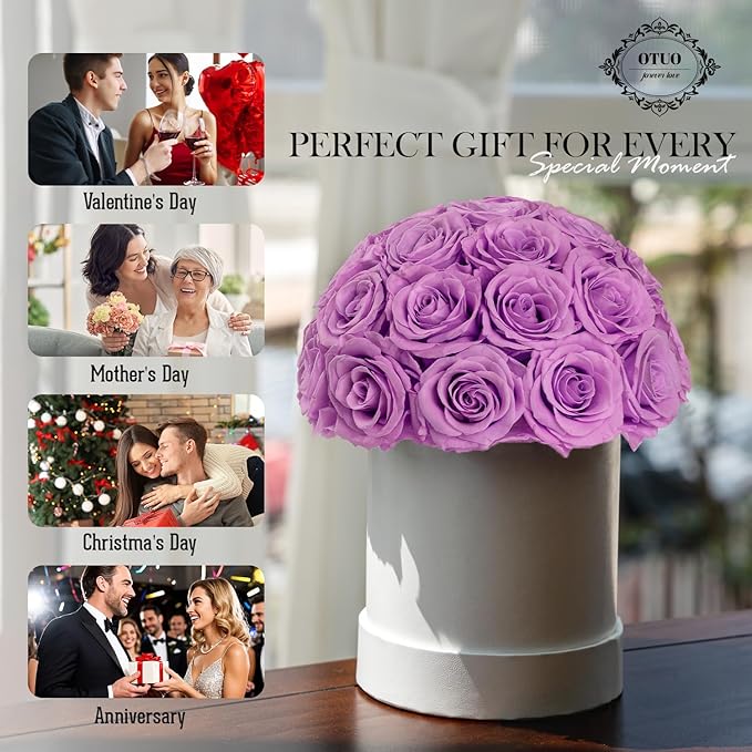 27 Preserved Roses in Round Dome Shape, Mother's Day Real Forever Flowers Rose Box, Eternal Rose Gift for Her Women Girl Friend Wife, Flower Gift for Valentines Day(Purple)
