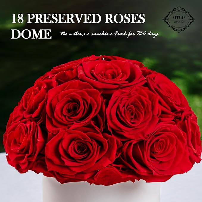 18 Preserved Roses in Round Dome Shape, Mother's Day Real Forever Flowers Rose Box, Eternal Rose Gift for Her Women Girl Friend Wife, Flower Gift for Valentines Day(Red)