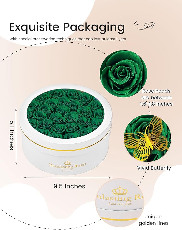 27 Preserved Roses Forever Flowers Real Roses in a Box Mother's Day Birthday Flowers for Her Mom Women Wife Valentine's Day, Green Roses