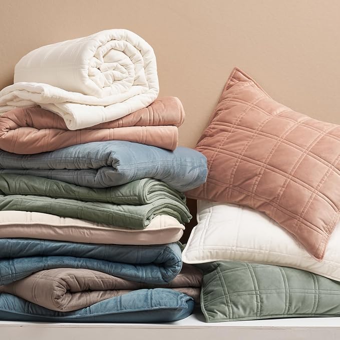 EverGrace 3 Pieces Luxurious Velvet Quilt Queen Size, Ultra Soft Bedspread Coverlet Set, Double Box Stitch Lightweight Velvet Comforter for All Season with 2 Shams, Cream White, 92"x96"