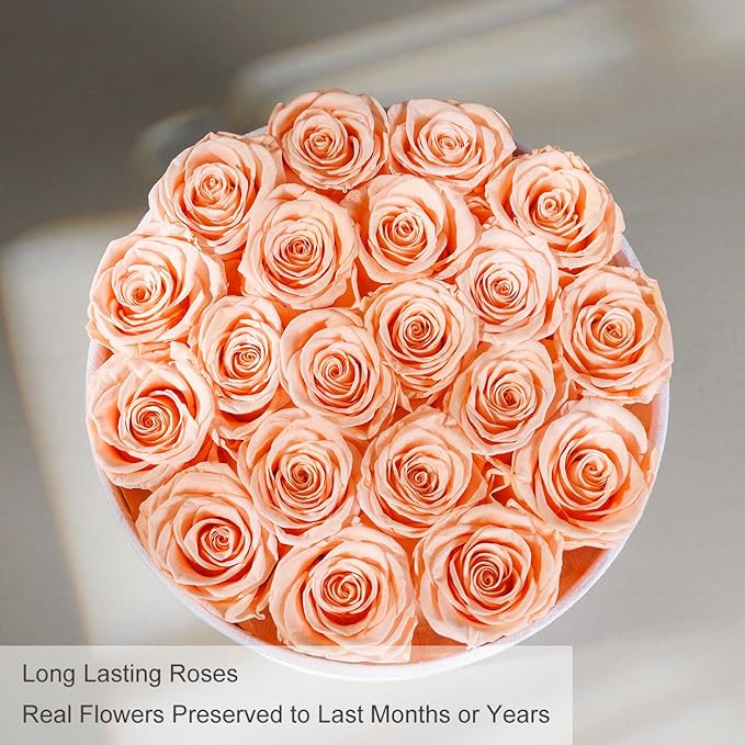 Gifts for Women Preserved Roses Flower Box, Luxury Velvet Box with 20 Roses, Preserved Flowers, Romantic Gift for Her, Wife, Girlfriend, Birthday Anniversary Christmas (Peach Pink)