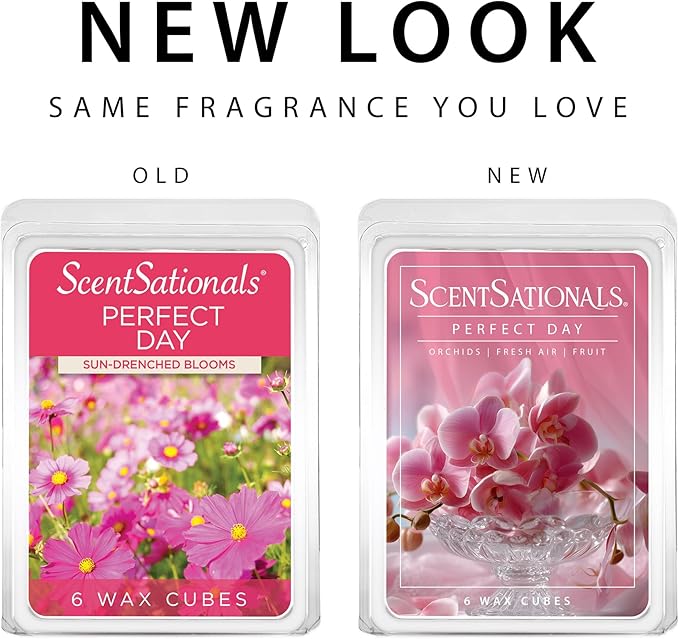 ScentSationals Perfect Day Scented Wax Melts - Orchids, Fresh Air, & Fruit, 10oz (24 Cubes)