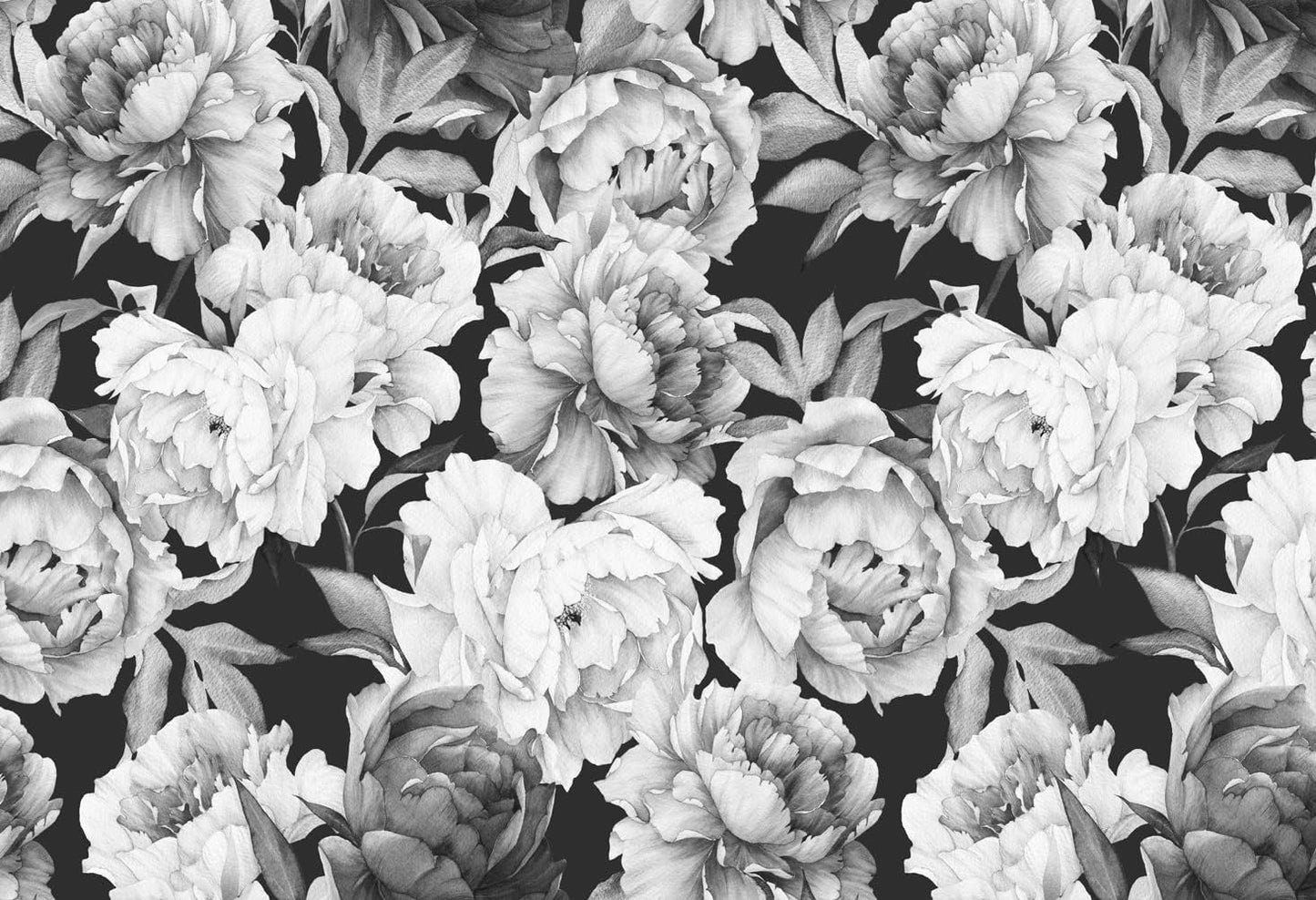 Black and White Peonies Wallpaper Watercolor Floral Mural Wallpaper for Bedroom Living Room (Not Peel n' Stick)