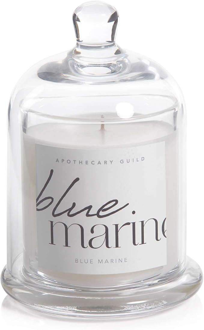 Zodax Blue Marine Apothecary Guild 10 Ounce Scented Jar Candle with Dome