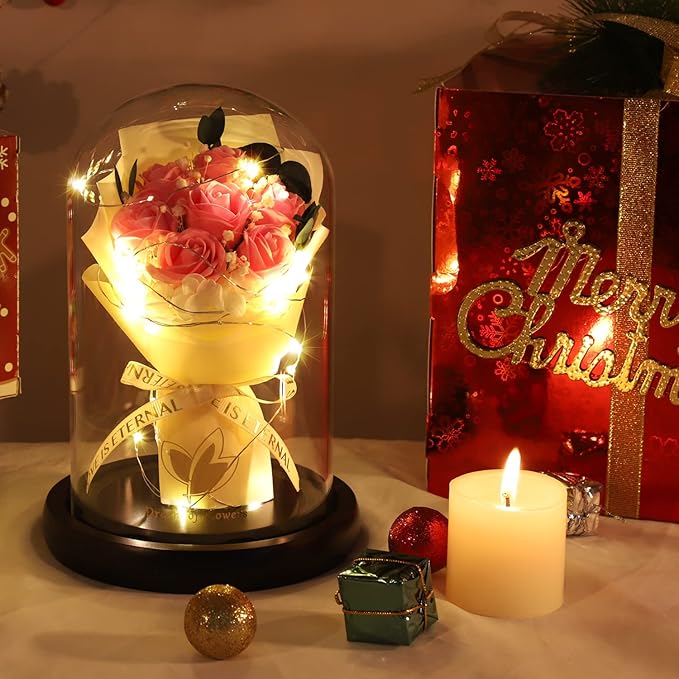 Beauty and The Beast Rose,Lasts Forever Pink Roses,Light Up Rose in Glass Dome,Gifts for Women,Birthday Gifts for Mom,Wife,Grandma,Anniversary,Mothers,Thanksgiving,Christmas Flowers Gifts