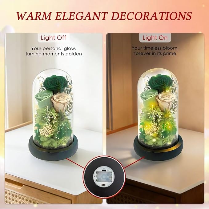 HipTree Preserved Morandi Green Rose in Glass Dome with LED Lights - Forever Eternal Rose Gifts for Women, Valentines Day Mothers Day Birthday Christmas Wedding Anniversary for Mom Wife Girlfriend