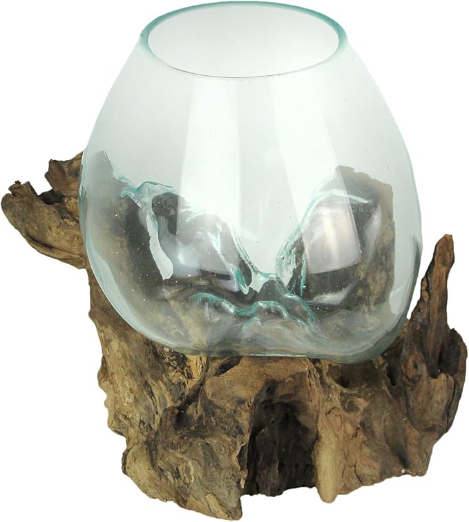 Things2Die4 Large Molten Glass Sculptural Bowl / Plant Terrarium On Natural Driftwood Base, Brown, 10 Inch | Clear Hand Formed Vessel, Organic Wood Contours, For Succulents, Air Plants, Herbs, Fairy Gardens