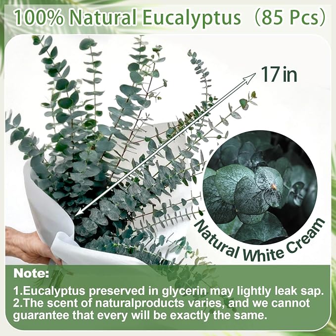 85 Pcs Dried Eucalyptus Stems, Preserved Branches for Shower, 17" | Real preserved eucalyptus for shower, vase filler, wedding décor, bathroom styling, DIY crafts and home decoration.