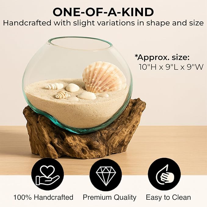 Cape Craftsmen 10" Hand-Blown Blue Tinted Bubble Glass On Natural Teak Driftwood Terrarium Kit | Home Décor Indoor Planter with Stand | Pot for Succulent and Plants