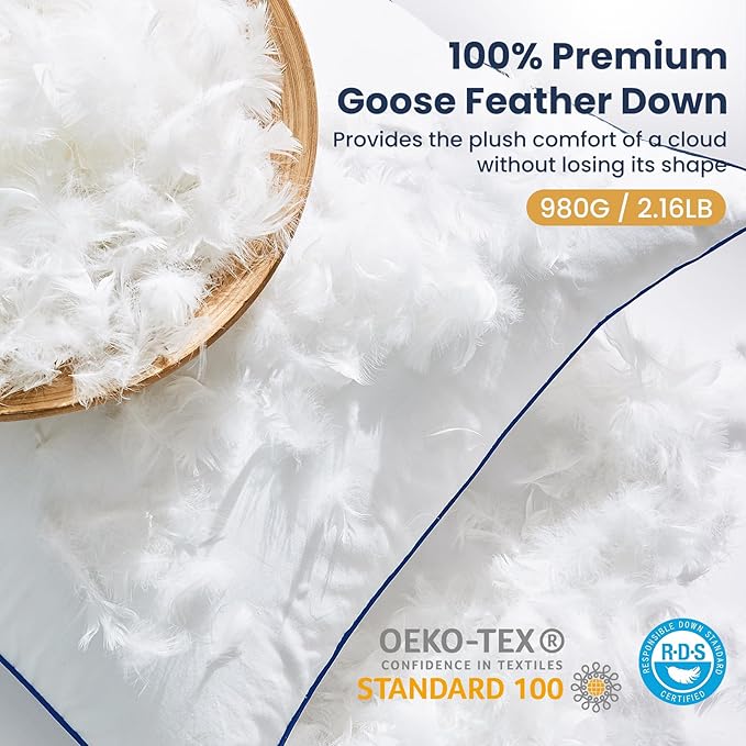 Down Pillow Inserts 20x20, 100% Goose Down Feather Throw Pillows Inserts - Ultra Plush, Decorative Pillow Insert with Soft Cotton Cover for Couch, Sofa, Bed, Living Room (Pack of 1)