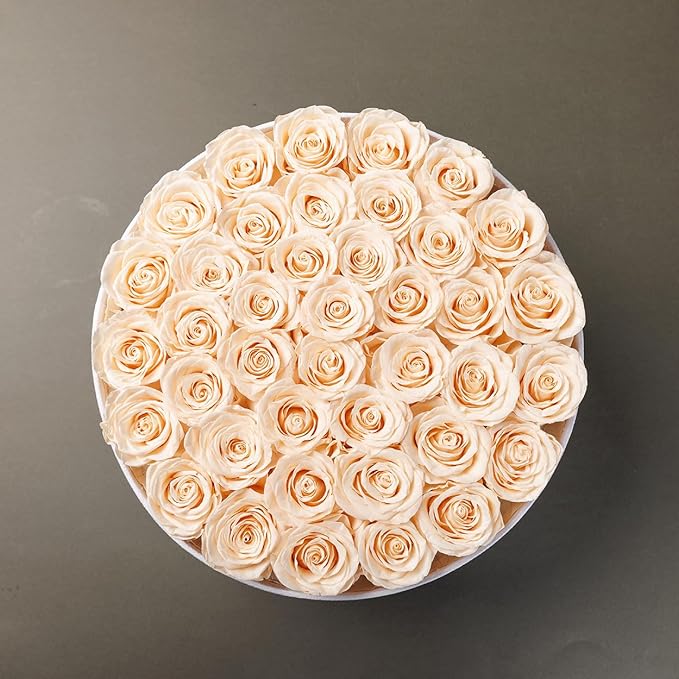 Gifts for Women Preserved Roses Flower Box, Luxury Velvet Box with 40 Roses, Preserved Flowers, Romantic Gift for Her, Wife, Girlfriend, Birthday Anniversary Christmas (Buttermilk)