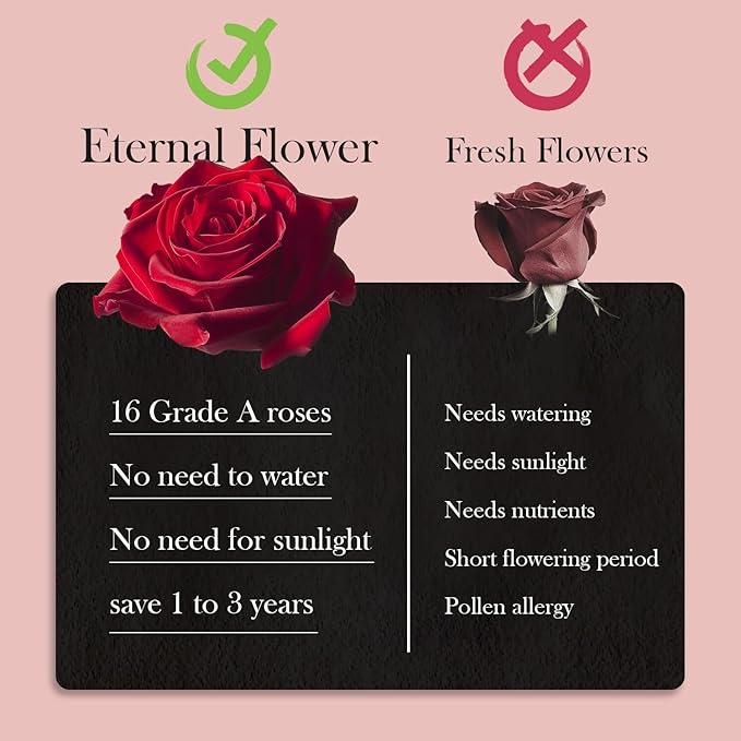 27 Preserved Roses in Heart-Shaped Box, Flowers for Delivery Prime Last up 2 Years, Real Forever Flowers for Wife, Girlfriend, Mother, Eternal Roses for Anniversary - Pink
